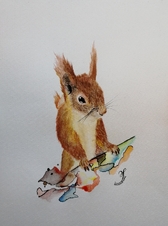 01-eichhoernchen-1192x1600