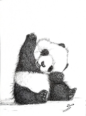 01-panda-1188x1600